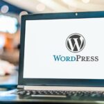 WordPress 6.4.3